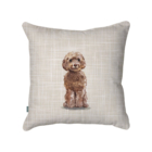 Cockapoo Scatter Cushion adds comfort to your sofas and chairs.